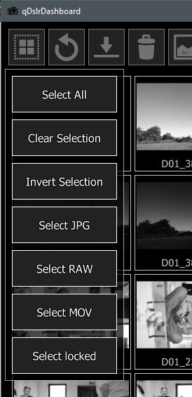 qdd-select_all.jpg