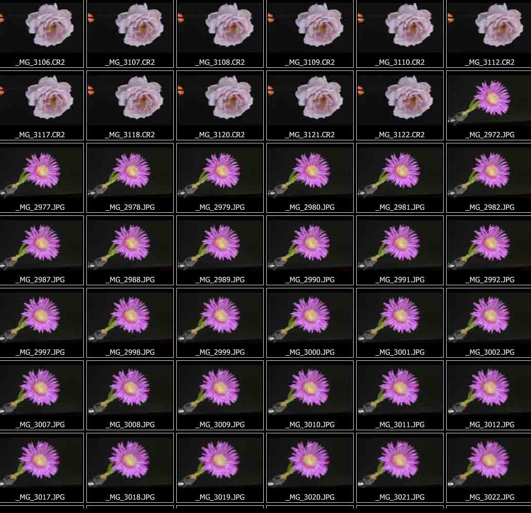 Select-all.jpg